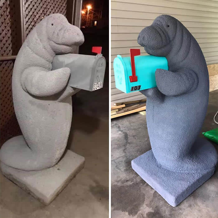 Leave The Mail With The Manatee