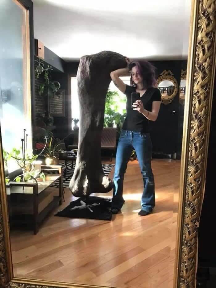 Life-Sized Dinosaur Bone