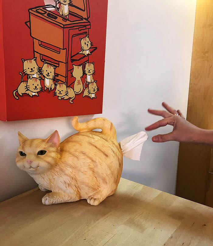 When You Love Cats