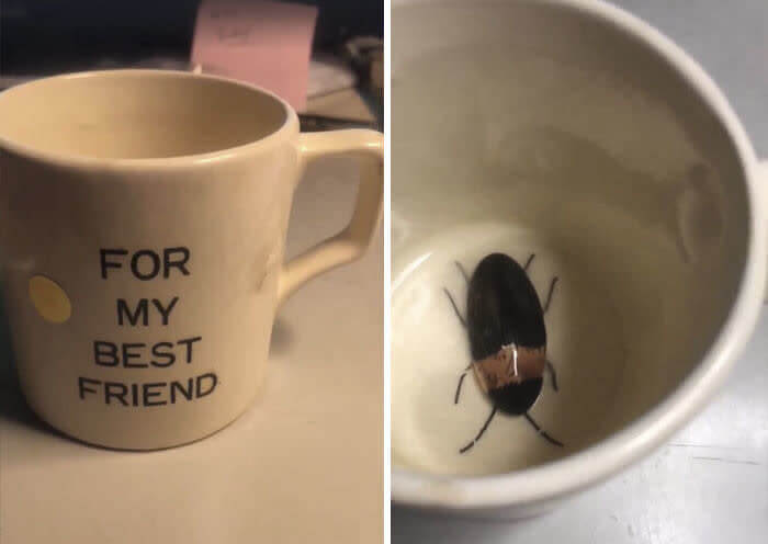 Not What You Want To Find After You Drank Your Coffee