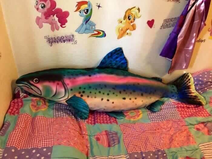 My Little Pony And Rainbow Trout