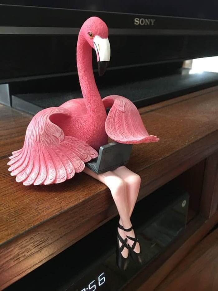 She's A Fancy Flamingo