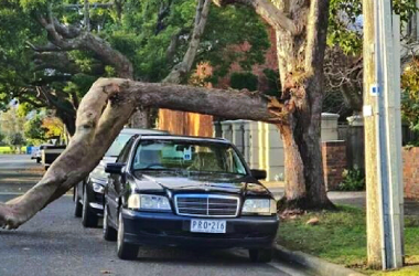 Miraculous Moments of Narrow Escapes