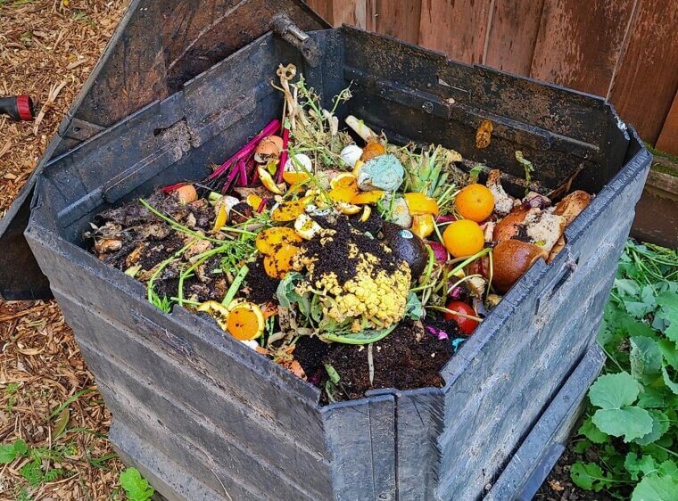 First Essential Ingredient: Green Material