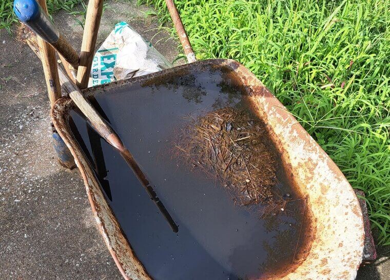 Third Essential Ingredient: Water