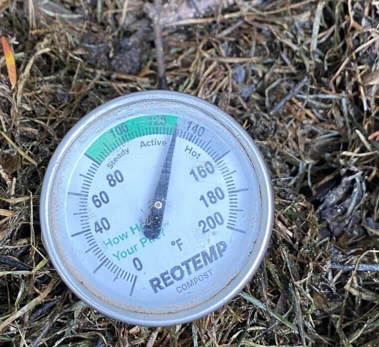 Sign Of A Successful Compost: Heat