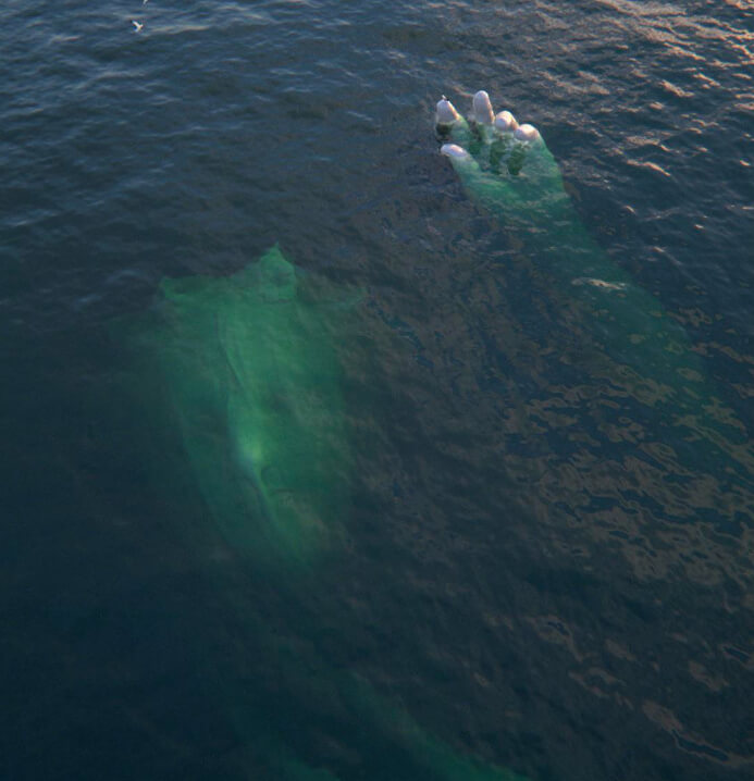 Reaching From the Depths