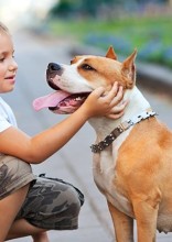 How To Train Your Dog To Be Child Friendly