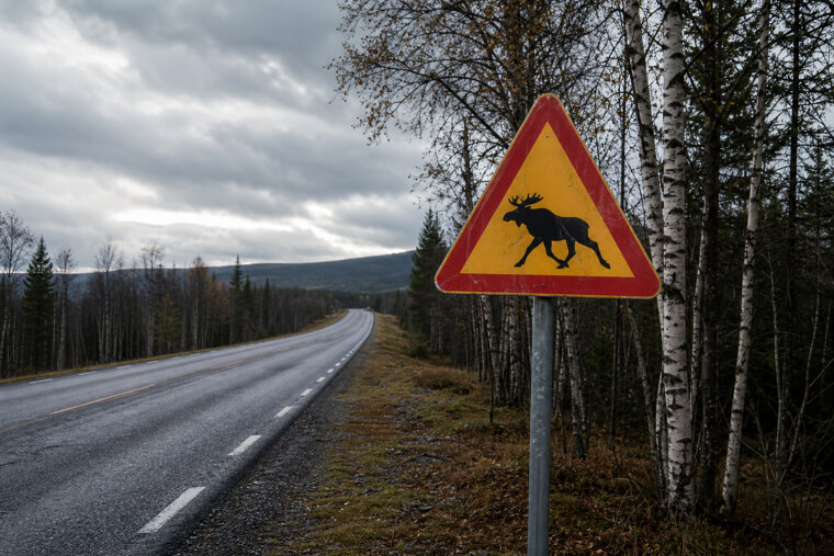 Sweden's "Moose Test" Warning Became a Car Review