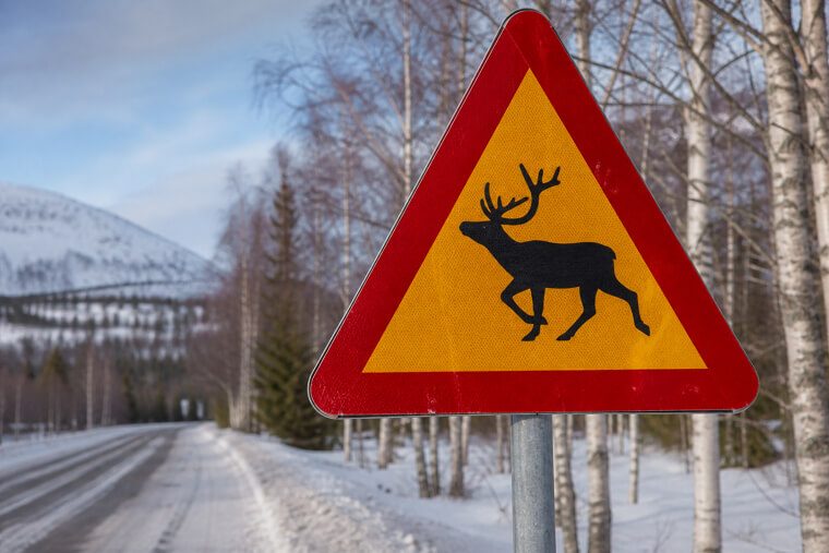 Finland's "Beware of Reindeer" Diamond Sign