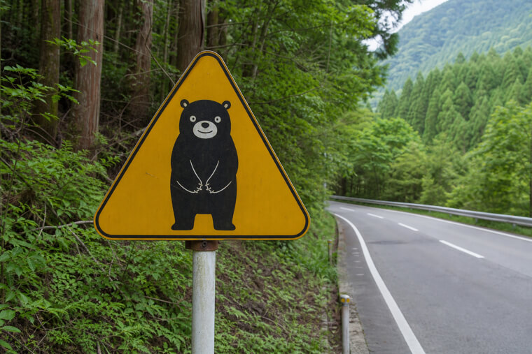 Japan's "Beware of Bears" Cartoon Masterpieces