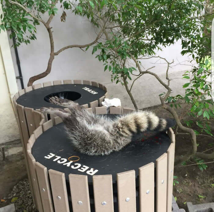 All The Garbage Went Straight To His Hips