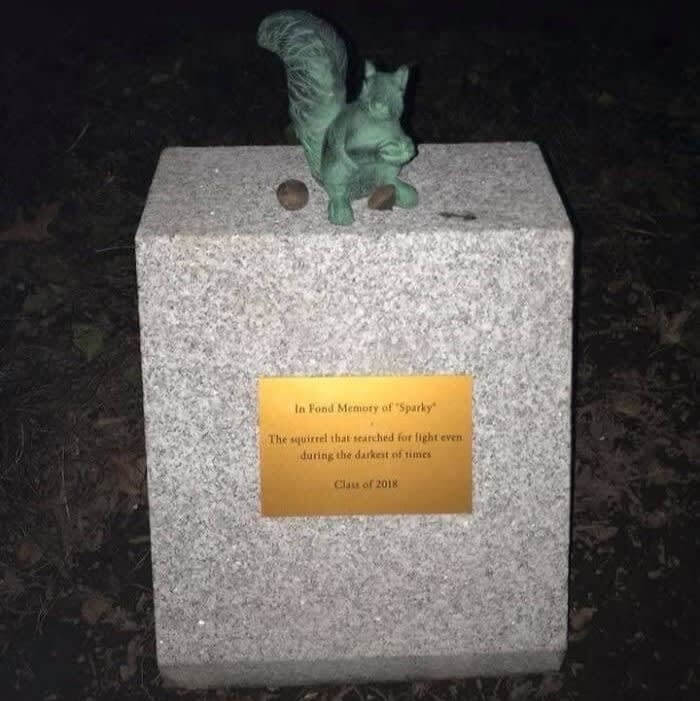 This Squirrel Ate Through A Wire, And A Memorial Was Put Up In His Honor