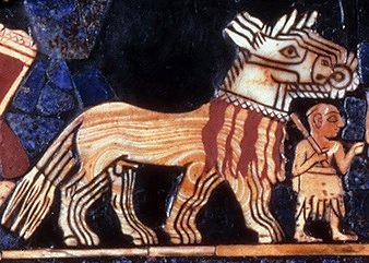 Kungas - The Extinct Species