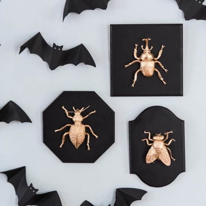 DIY Insect Taxidermy Plates Will Impress All of Your Guests