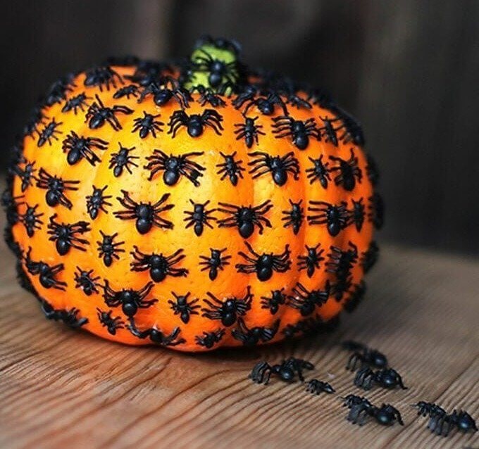Make Your Own Spider Pumpkin