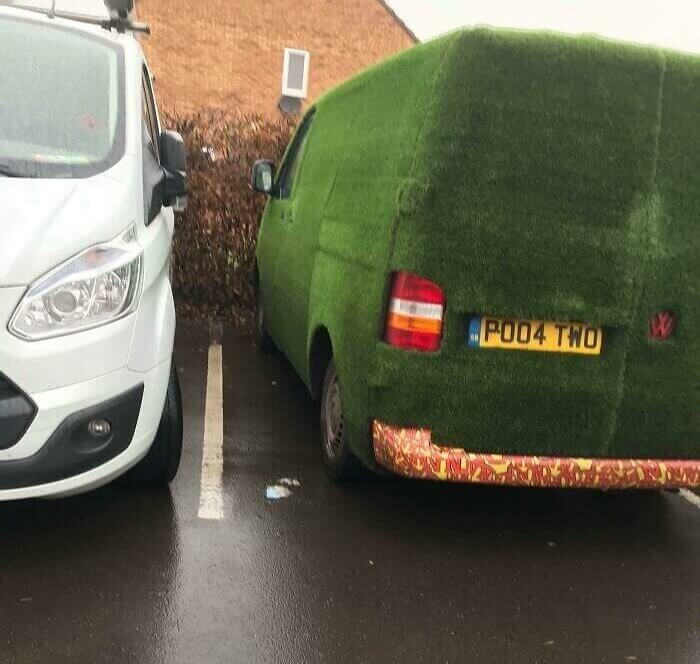 Grass
