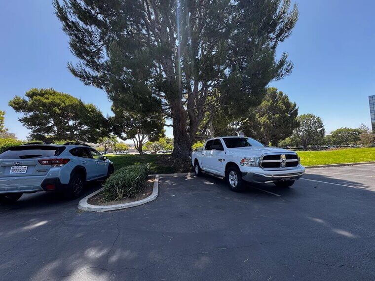 Shade Is Your Friend