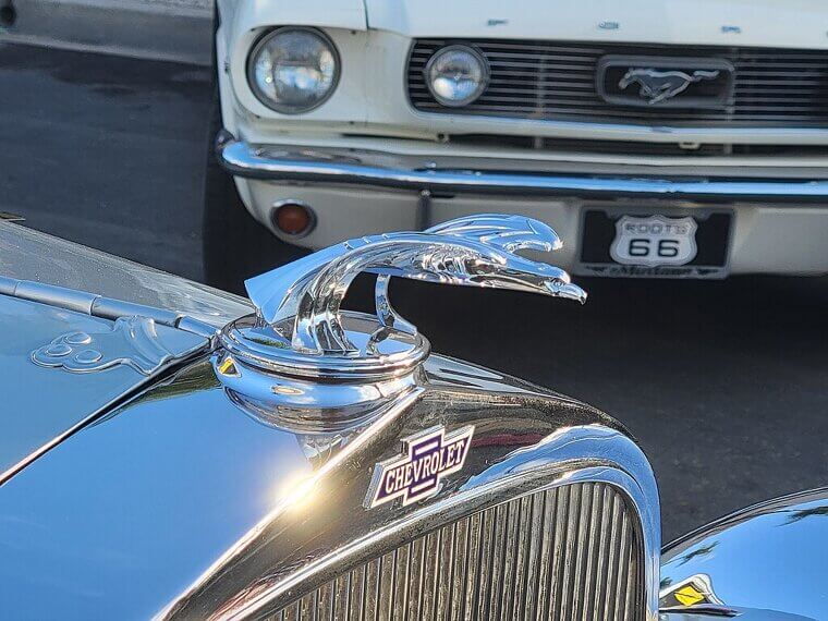Hood Ornaments