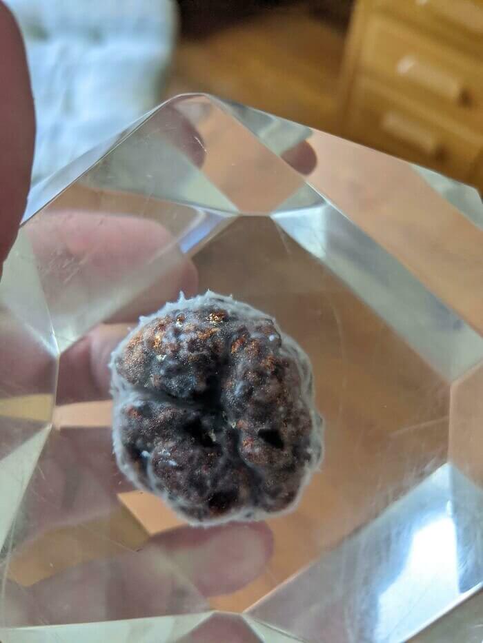 A 30-Year Old Meatball In Epoxy