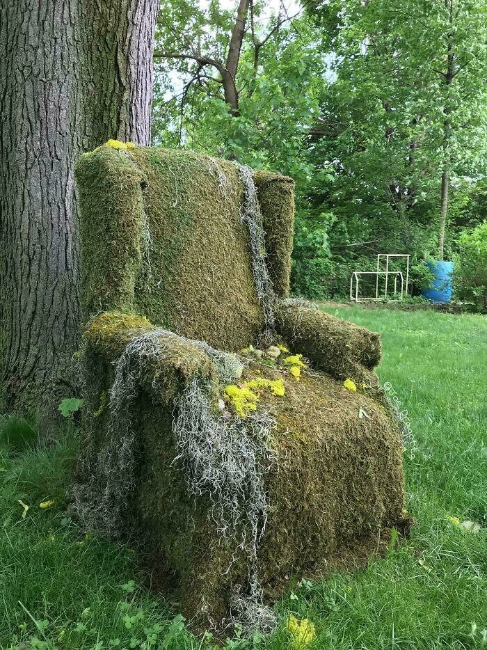 An Old Chair Becoming A Part of The Nature