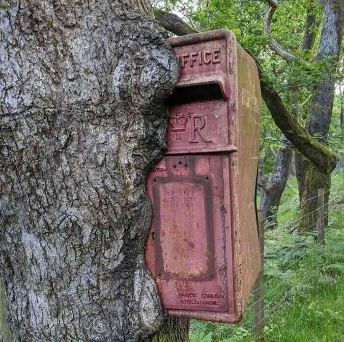 Time Has Brought Them Together