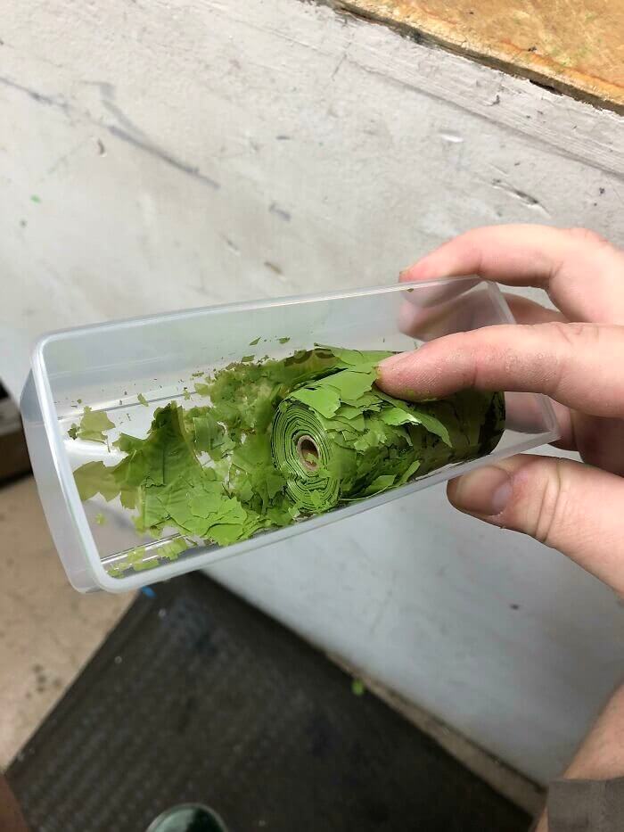 An Old Roll Of Biodegradable Dog Poop Bags