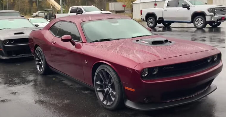 Dodge Challenger Shaker Hood Bee