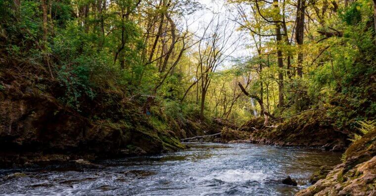 Yellow Springs, Ohio