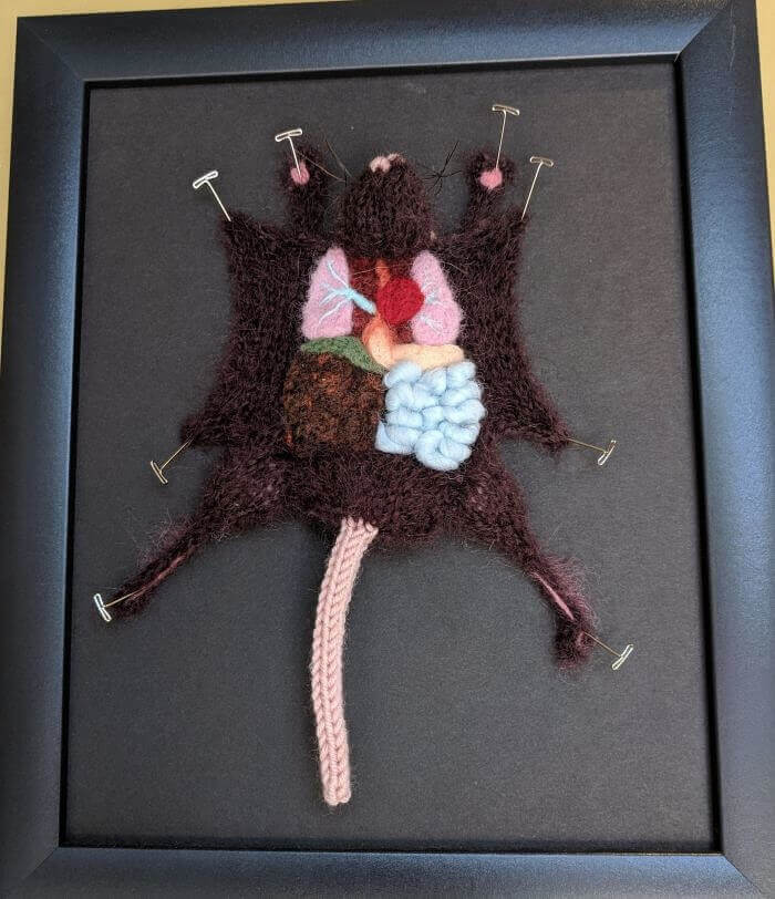 Dissected Decorations