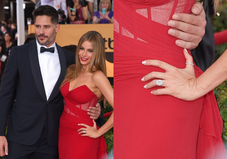 Sofía Vergara- Valor estimado $500.000