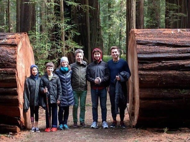 Dit wordt beschouwd als een kleine sequoia boom