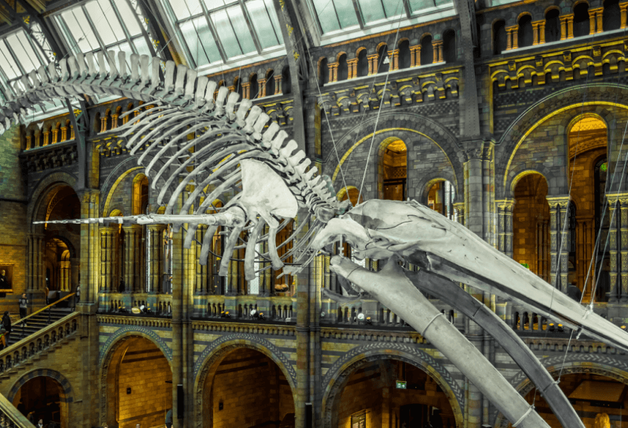 Novas fotos fascinantes de comparações