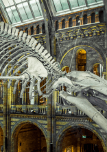 New And Fascinating Comparison Photos