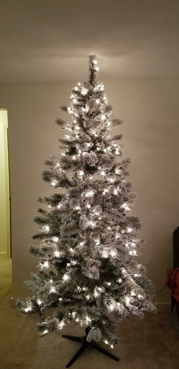 How This Tree Touches the Ceiling