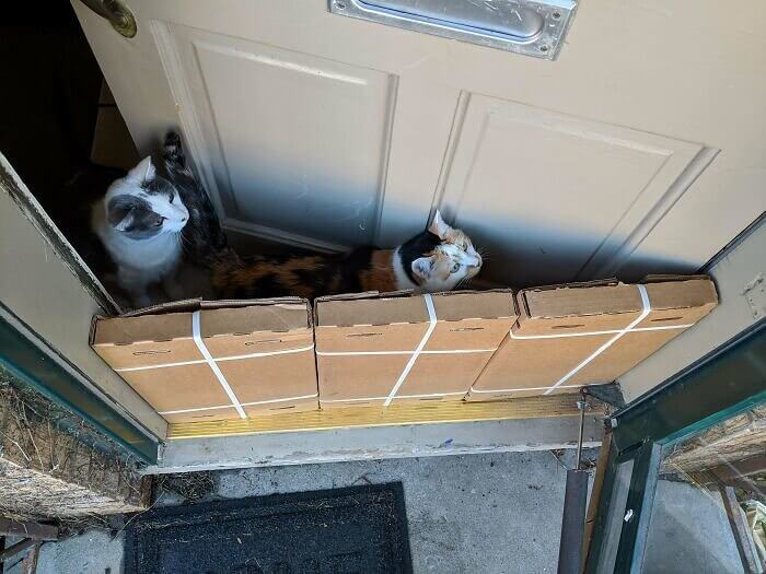 The Way This Package Fits the Doorway