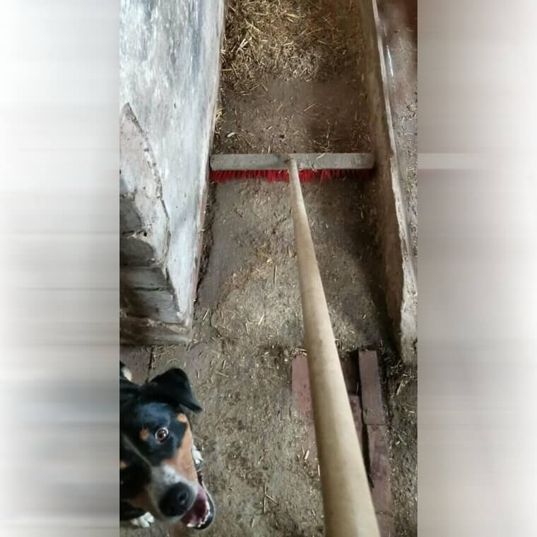 The Broom That Fits Perfectly Into the Place You're Sweeping