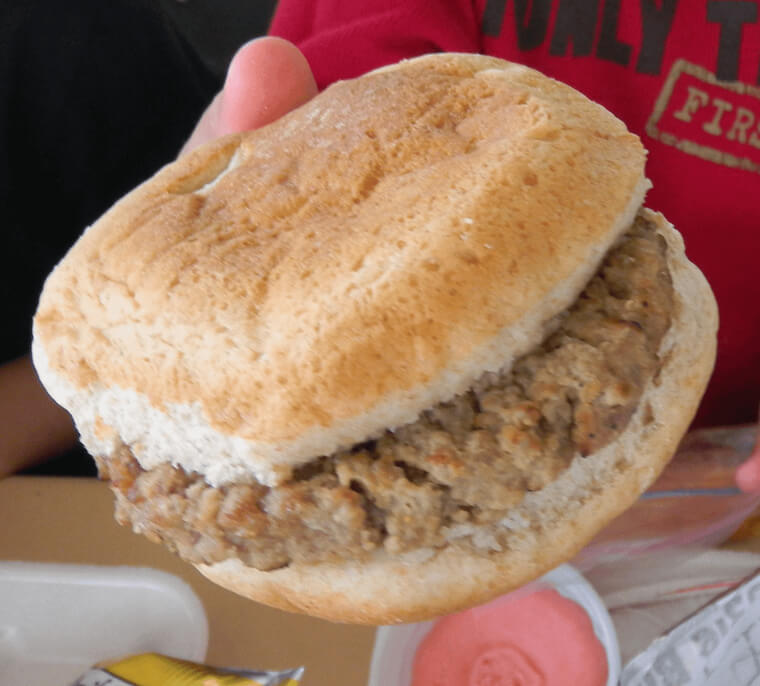 A Fast-Food Cheeseburger