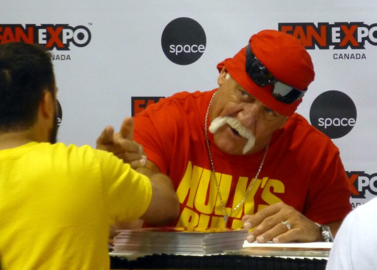 Hulk Hogan - Terry Bollea