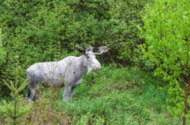 40+ Cosas En Colores Inusuales Que Te Dejarán Maravillado