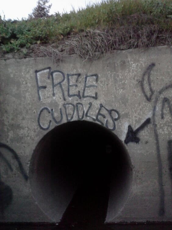 Anyone Wants Free Cuddles?