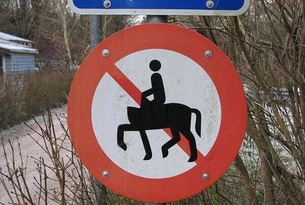 What? Headless Horses?