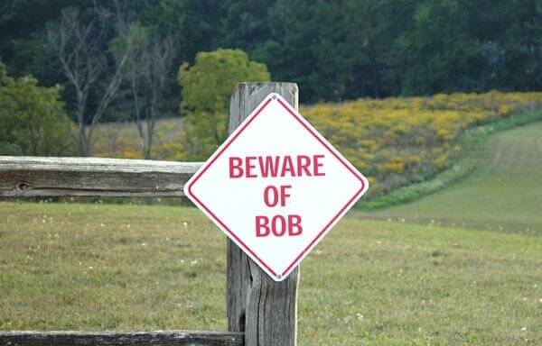 What About Bob?