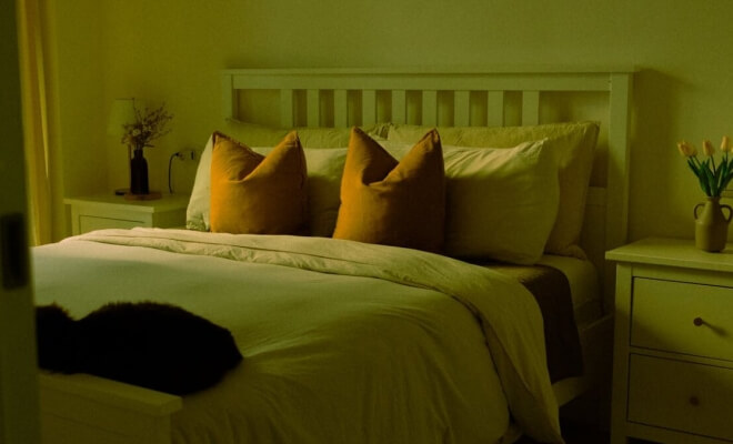 The Household Items Worth Waiting for on Black Friday