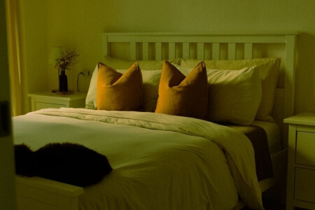 The Household Items Worth Waiting for on Black Friday