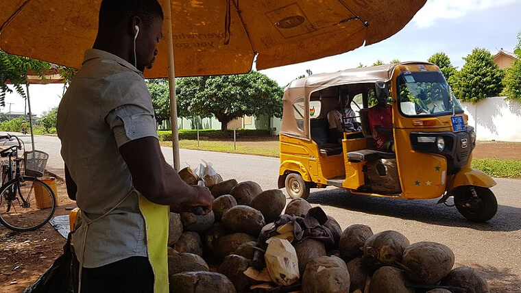 Les noix de coco tombent et assomment les gens tout le temps