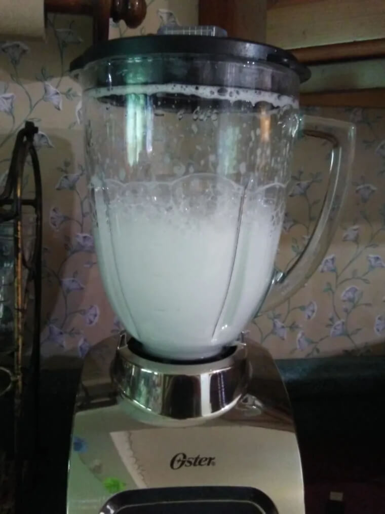 Blend Dish Soap in Your Blender to Clean It