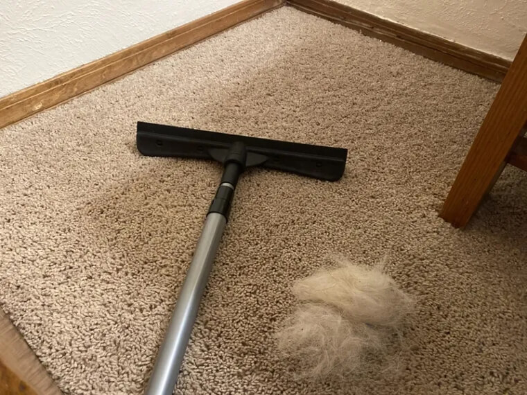Easily Round up Pet Hairs With a Squeegee