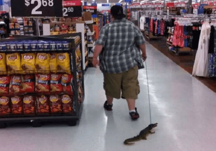 The Therapy Baby Alligator