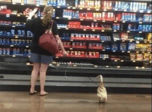 At Least She Put Him On A Leash